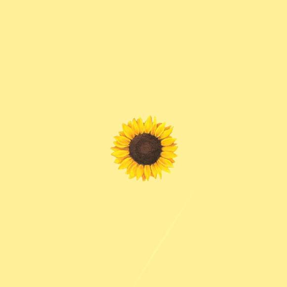 ruby_sunflower